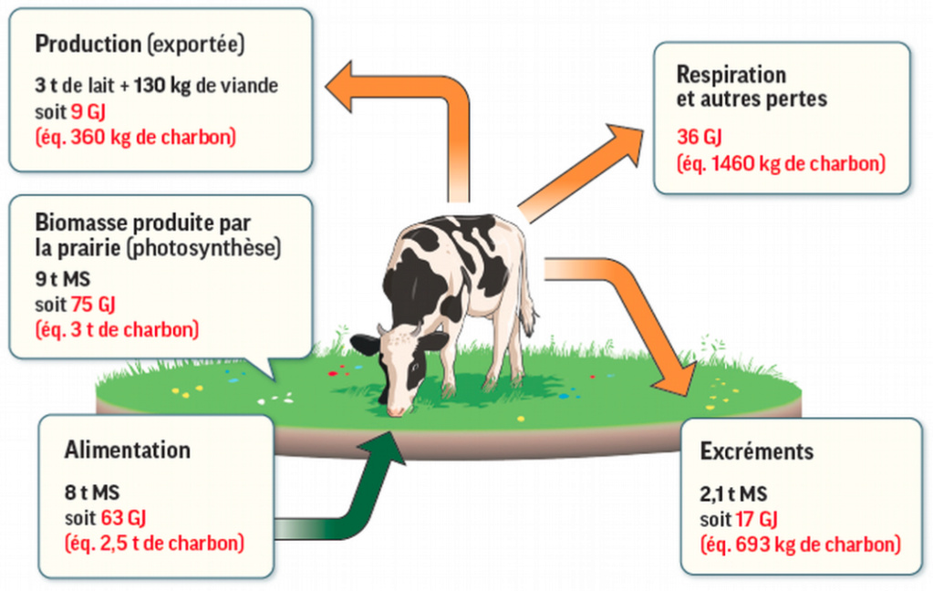 Un agrosystème un "écosystème" déséquilibré