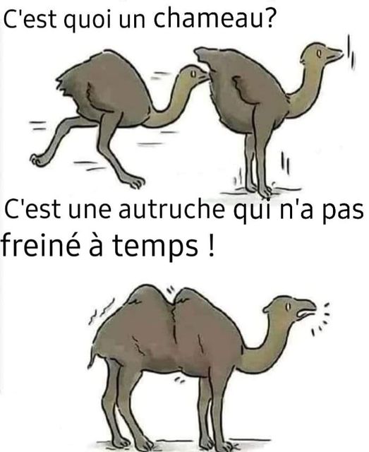 Humour Toujours - Page 5 31528710