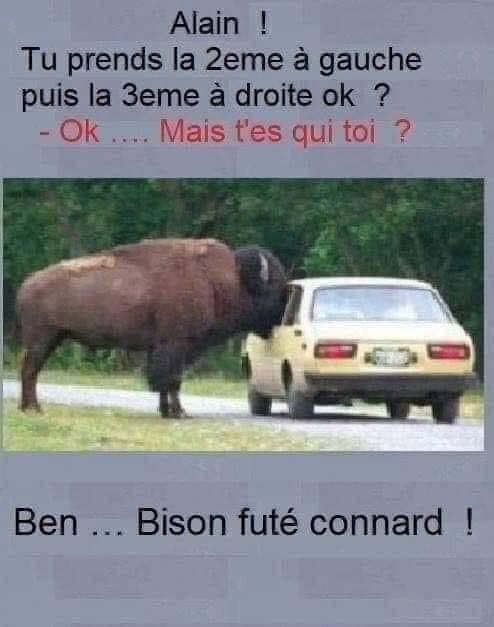 Humour Toujours - Page 3 32697510