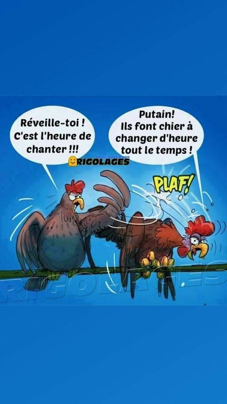 Humour Toujours - Page 5 33700410