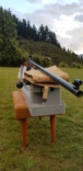 New Zealand target gun  20220412