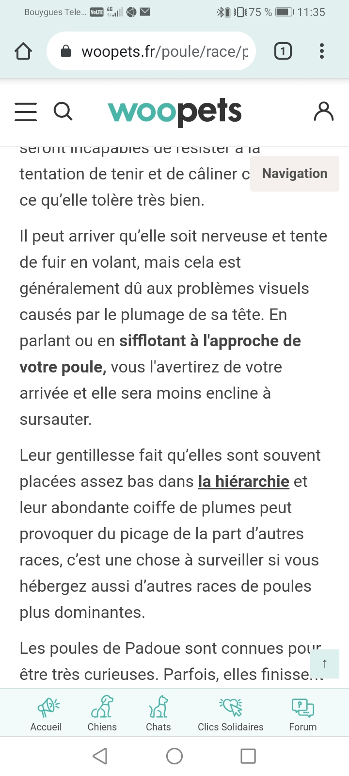 Tout sur la Padoue  - Page 2 Screen12