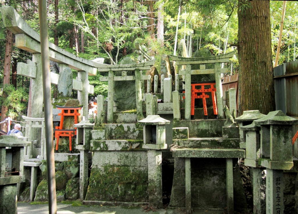 Circuit de Tokyo à Okinawa : à la découverte du Japon 176610