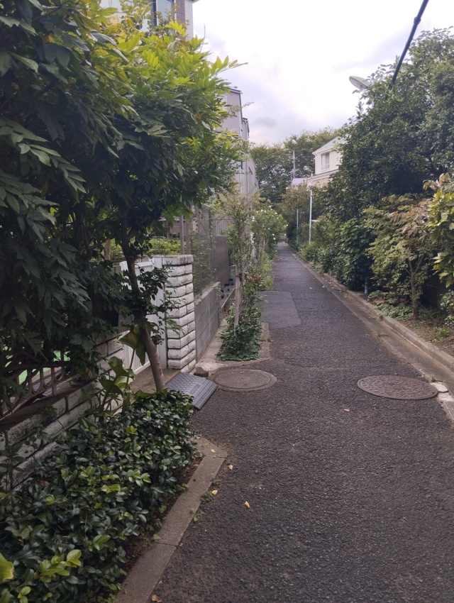 Sur les routes du Tohoku à Tokyo en passant par Okinawa - Page 5 Img_3150