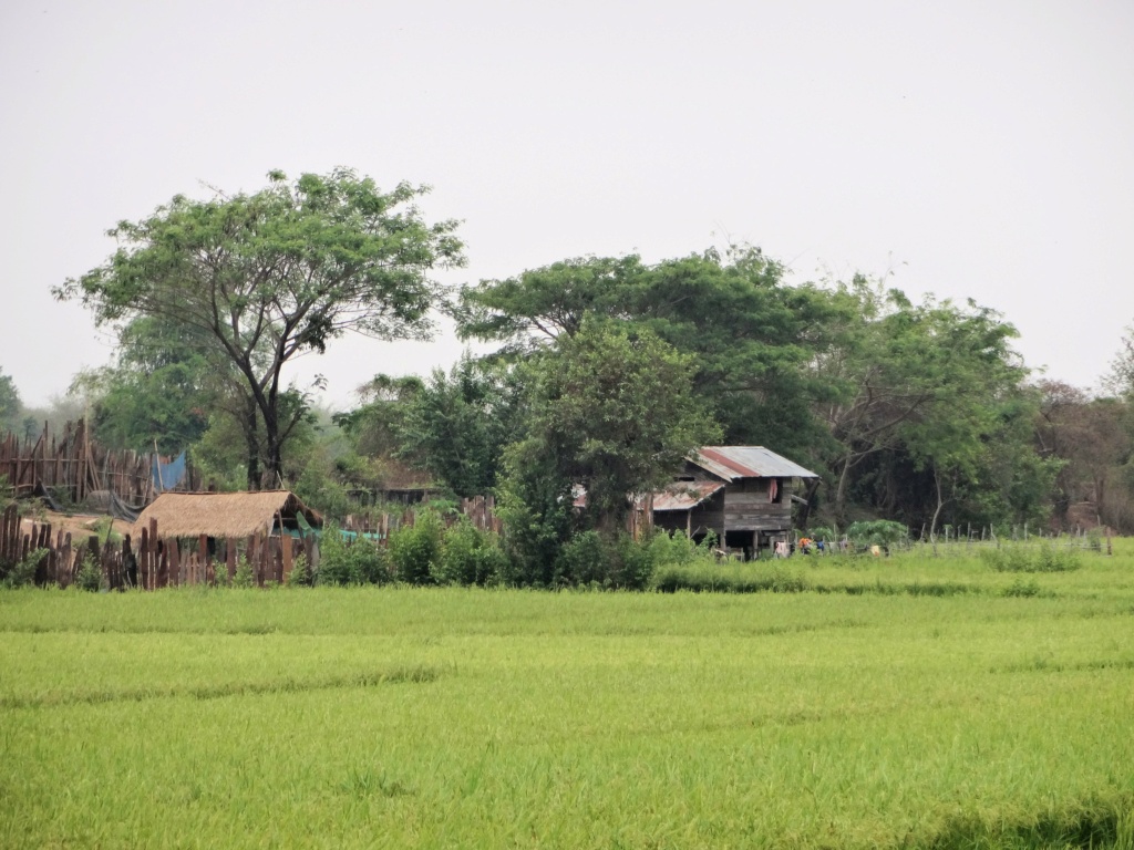 Carnet de voyage au Laos Laos_211