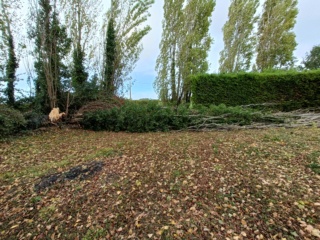 Sous la tempête  Img20256