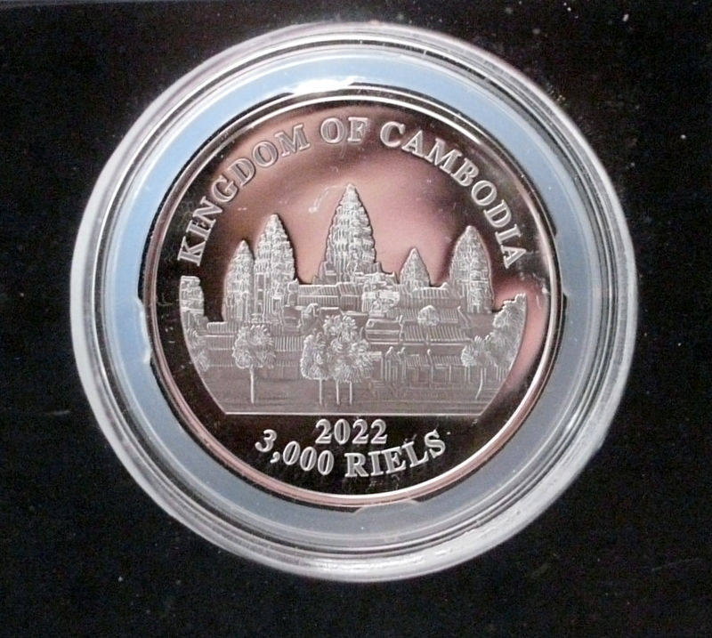 Lost Tigers Of Cambodia P1020043