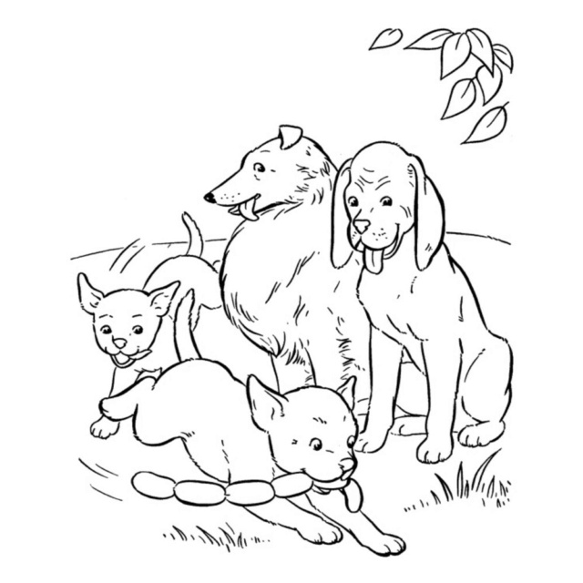 Собаки и щенки раскраски Sobaki10