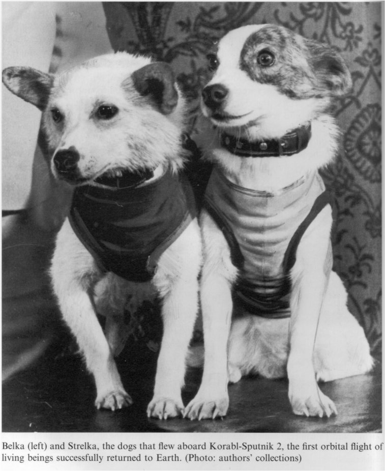 Les chiens-cosmonautes Belka et Strelka (Russie, 200?) Bs10