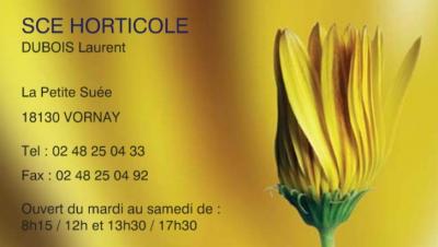  VORNAY - SCE HORTICOLE - Laurent DUBOIS - Horticulteur. Maraîcher Vornay13