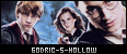 Godric's Hollow Bouton10