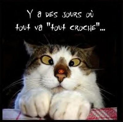 Fiches Sante