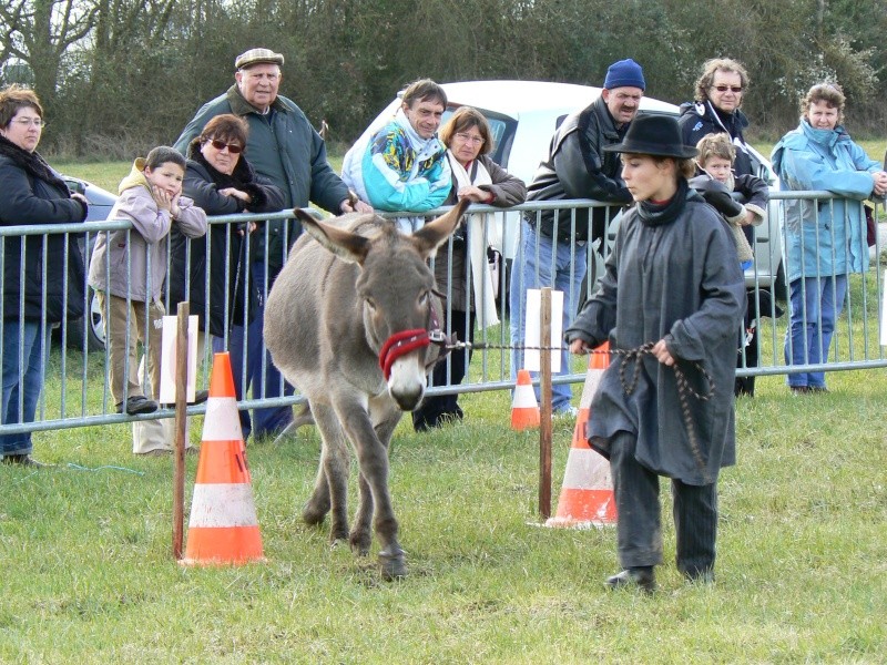 Poulaines 2008 P1000222