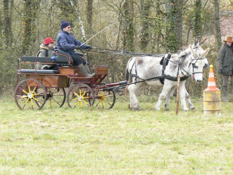 Poulaines 2008 P1000226