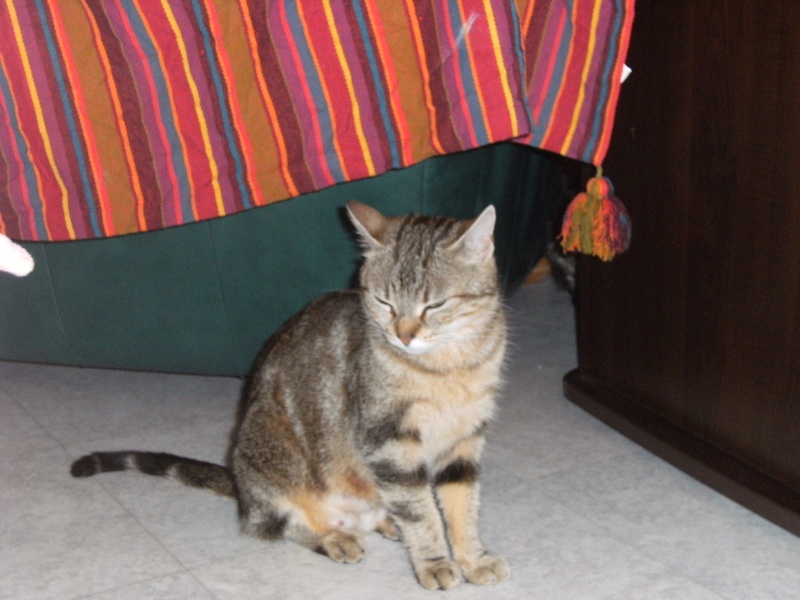 Belle 02011