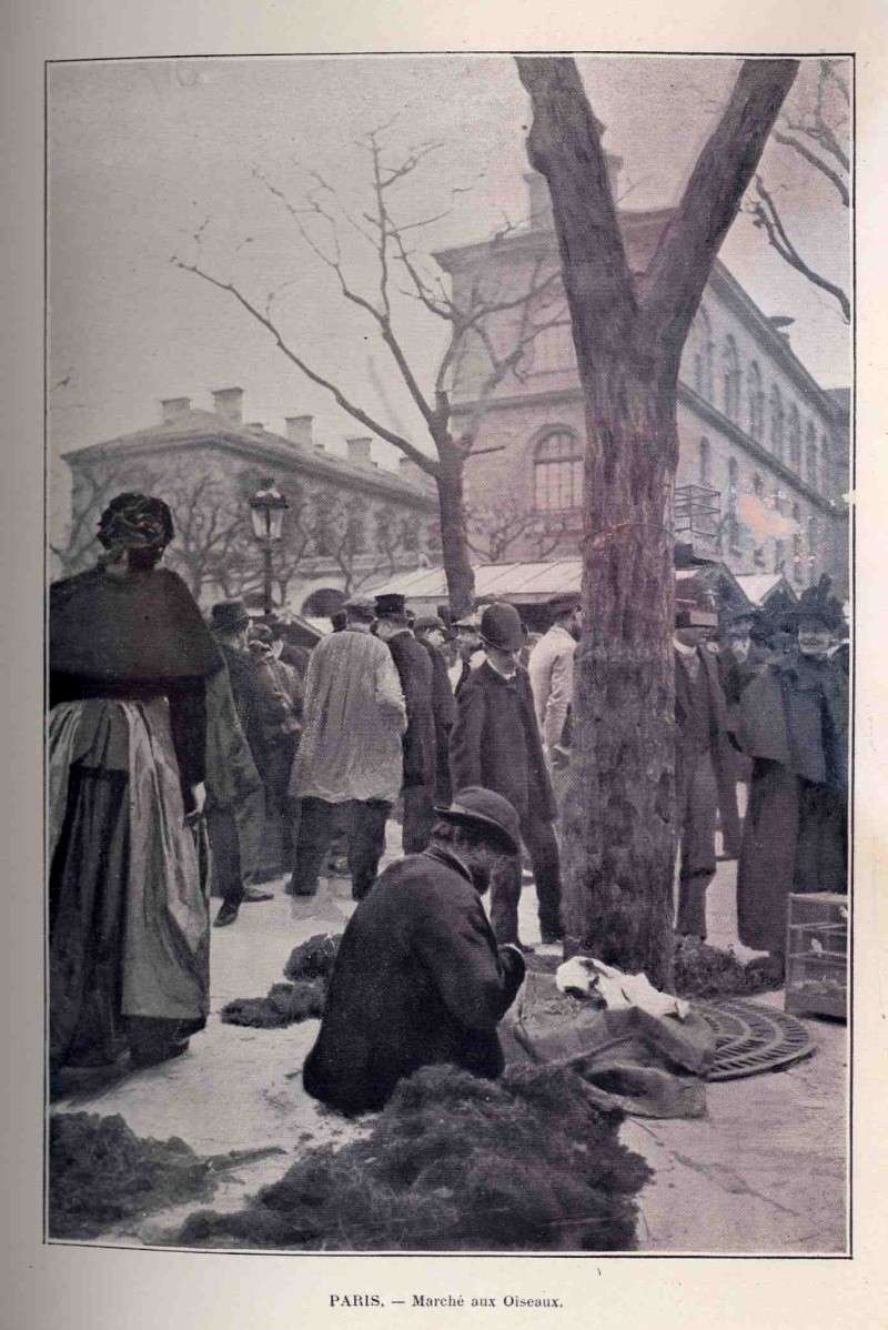 VISITE DU PARIS DE 1900 EN PHOTOS D'EPOQUE - PICTURES 1900 12191411