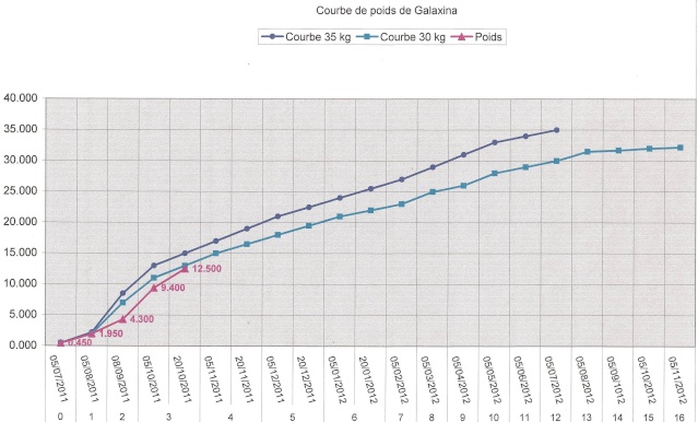 Suivi Poids & croissance de Galaxina Courbe13