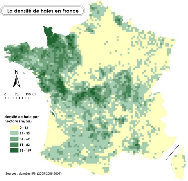 autour du zinc.... - Page 21 Densit10