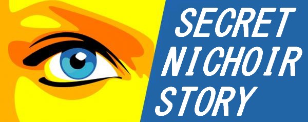 Secret Nichoir Story Secret10