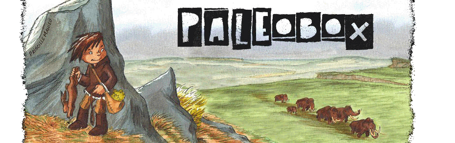 PaleoBox 