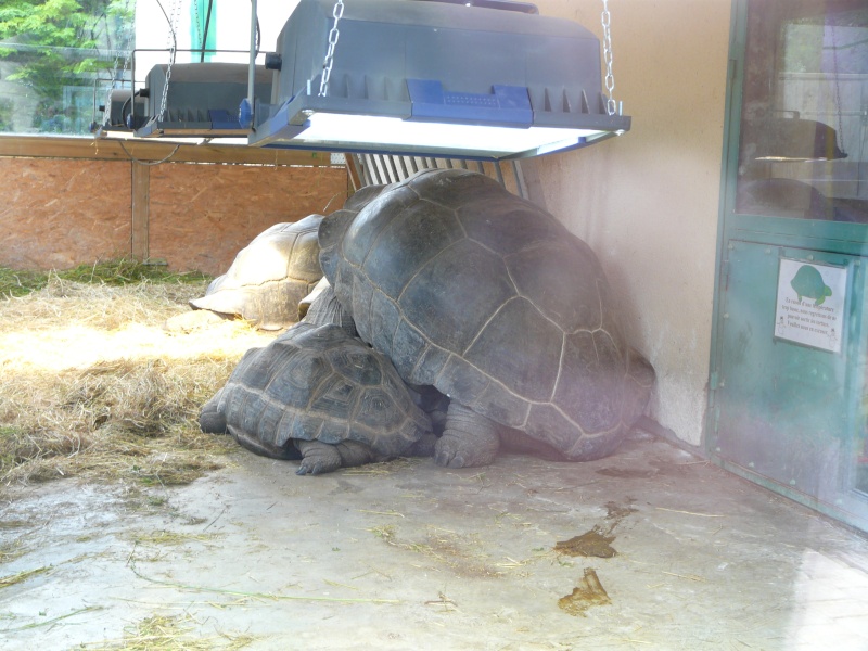 Reptilarium Mt St Michel 02910