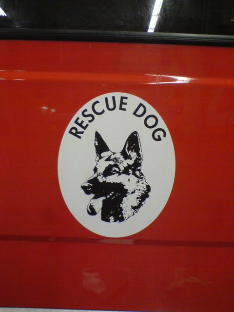 vehicule cyno - Véhicule du Rescue Dog de Bruxelles Dsc00311