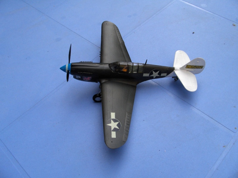 [Hasegawa] Curtiss  P40N Warhawk  1/72 - Page 2 Hpim1121