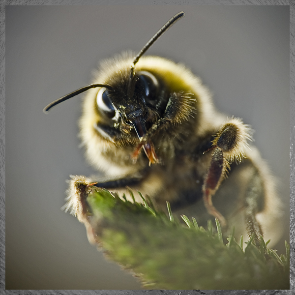 Visite de ce matin ....  + ajout Dsc_0031