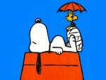 Dessine moi un mouton Snoopy10