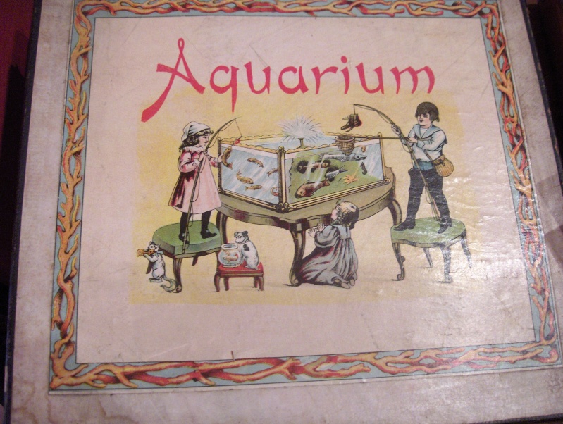 Aquarium * Hpim6729