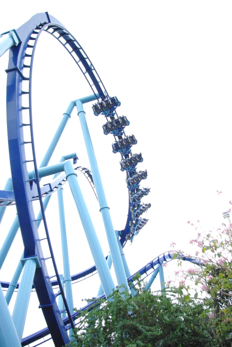 15 jours en Floride : seaworld, IOA, animal kingdom et discovery cove Voyage22