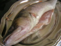 le Sandre poisson d'eau douce Pict0035