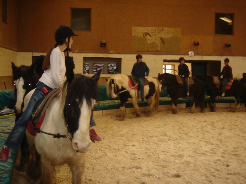 week  end special Forum Passion Irish Cob à Firfol - Page 15 Dsc01431