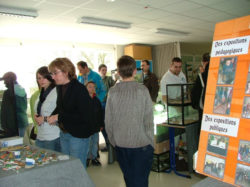 Exposition au lycée Le Druet à Bucquoy le 1er mars 2008 Dscf9910