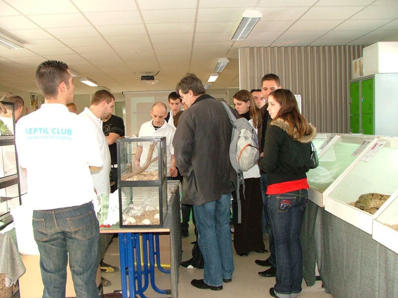 Exposition au lycée Le Druet à Bucquoy le 1er mars 2008 Dscf9911