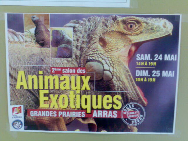 exposition animaux exotiques Arras le 24 et 25 Mai 2008  Photo012