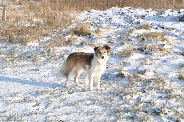 Cly dans la neige 00312