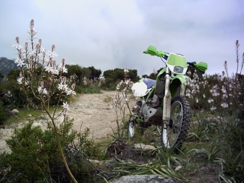 klx 300 R vendue Sortie19