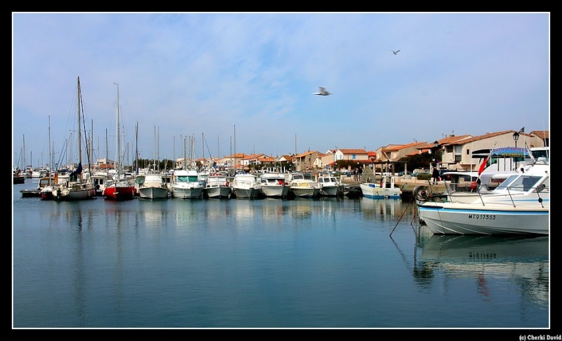 Aux Ste Marie de la Mer Photo10