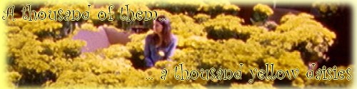 Gilmore Girls: coup de coeur - Page 6 Ggban510