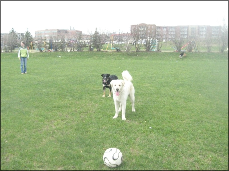 Au Parc Avec Leur Ami JiiJii Img_3913