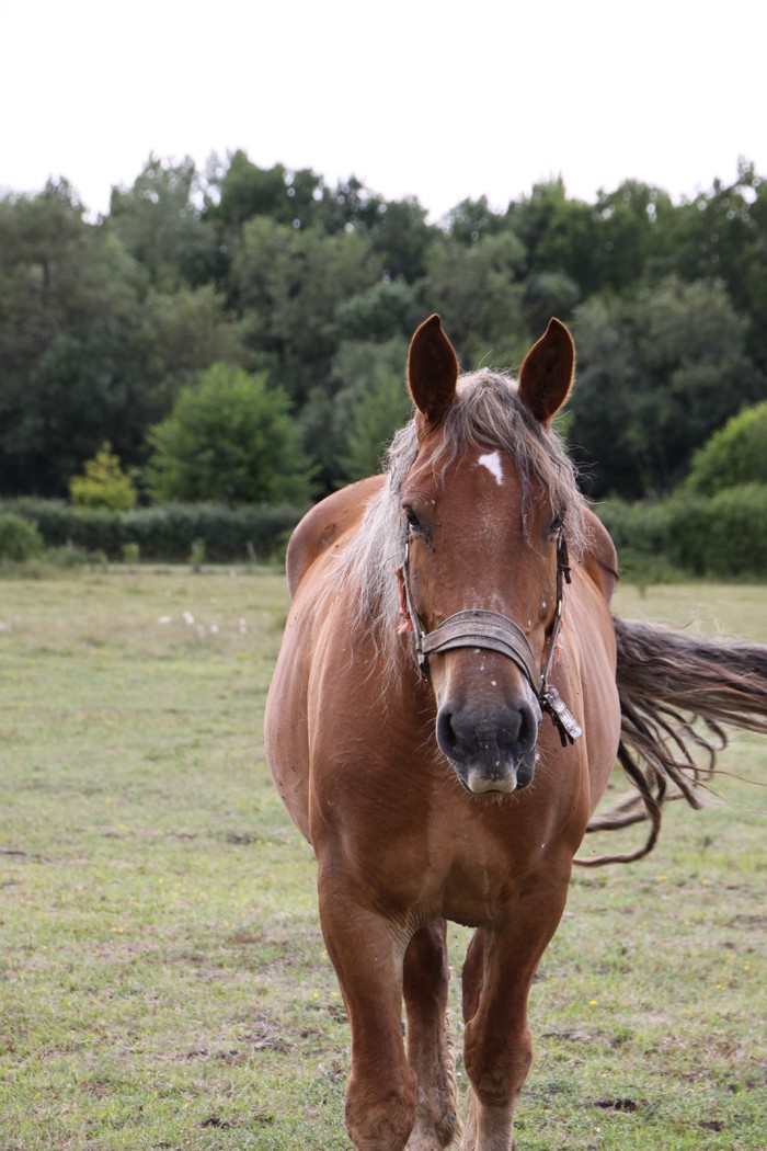 Monikas, trait baie silver 5 ans [41] Img_1025