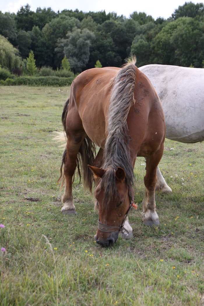 Monikas, trait baie silver 5 ans [41] Img_1029