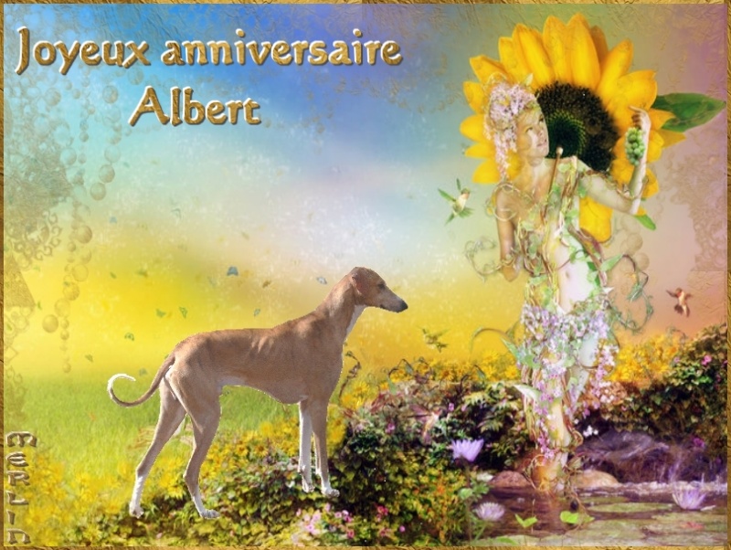 Joyeux Anniversaire Albert Le Mari De Baly Salle Des Fetes Nimo Joyeux Anniversaire Albert Le Mari De Baly Salle Des Fetes Nimo