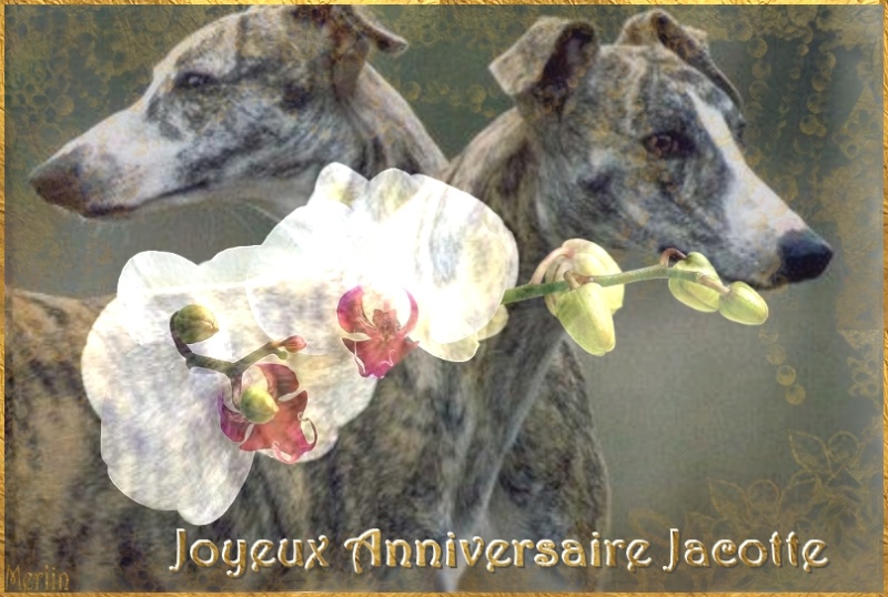 Jacotte C Est Ton Anniversaire Aujourd Hui Salle Des Fetes Nimo