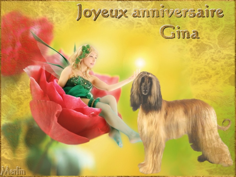 Gina C Est Ton Anniversaire Aujourd Hui Salle Des Fetes Nimo