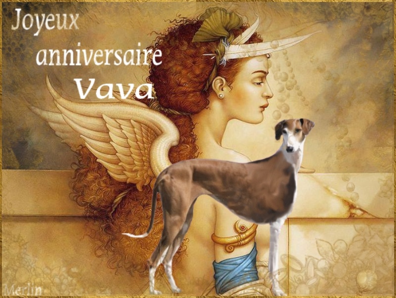 Joyeux Anniversaire Vava Salle Des Fetes Nimo Joyeux Anniversaire Vava Salle Des Fetes Nimo