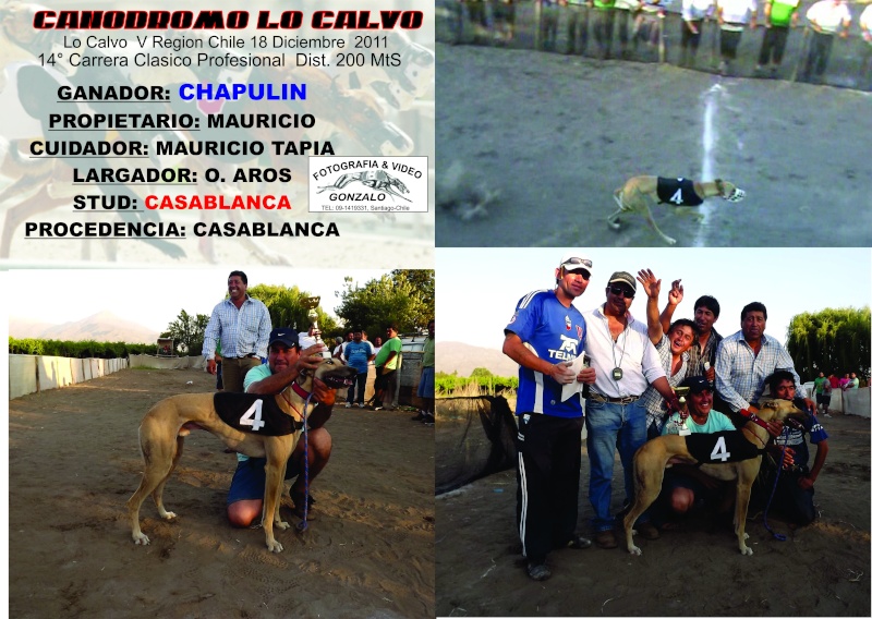 18 DE DICIEMBRE CLASICOS INAGURACION OFICIAL CANODROMO LO CALVO 5TA REGION - Página 2 12-cla12