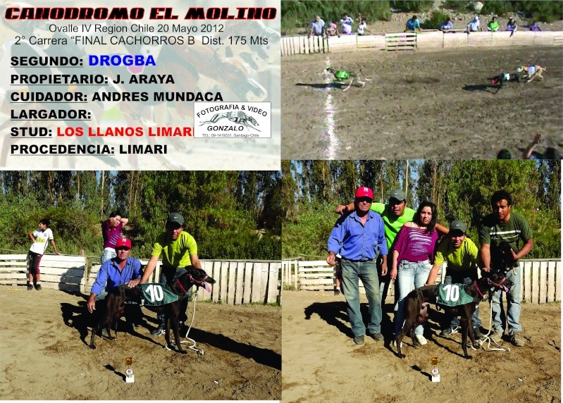 20 MAYO, GRANDES FINALES CACHORROS Y DERBY DE FURIA.- - Página 2 4-clas21