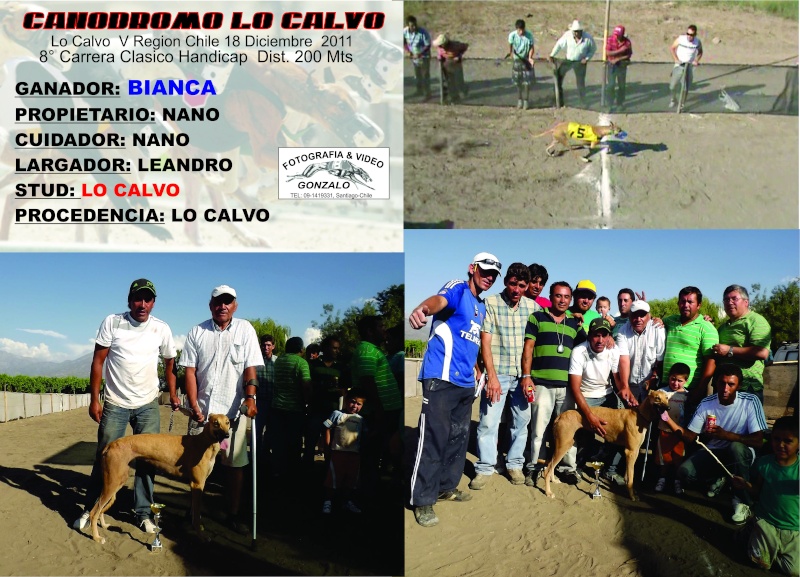 18 DE DICIEMBRE CLASICOS INAGURACION OFICIAL CANODROMO LO CALVO 5TA REGION - Página 2 5-clas17